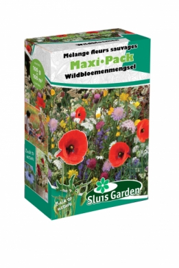 images/productimages/small/7330 Wildbloemen_MaxiP.jpg